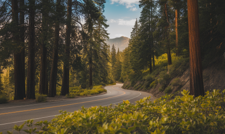 Voyager à travers les parcs nationaux de Californie: une aventure verte en 2026