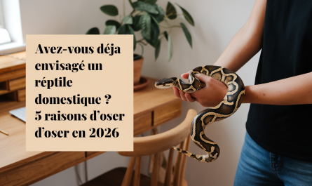 Avez-vous déjà envisagé un reptile domestique ? 5 raisons d'oser en 2026