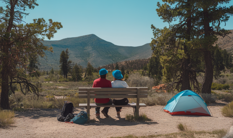 Traverser les USA en camping-car : aventure, liberté et astuces